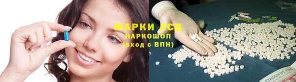 a pvp Алзамай