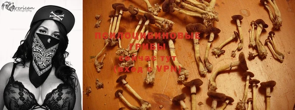индика Алексеевка