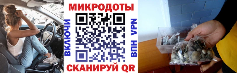 OMG зеркало  Юрьевец  Псилоцибиновые грибы Cubensis  купить наркоту 